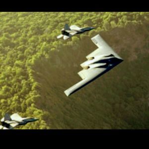 Meet your Posher, Misty